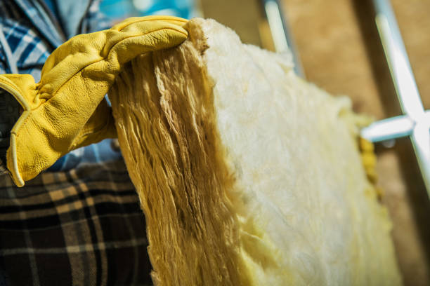 Best Wall Insulation Contractor  in Salem, VA
